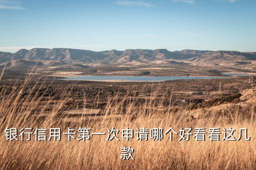 银行信用卡第一次申请哪个好看看这几款