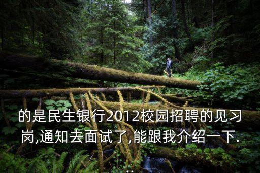 的是民生银行2012校园招聘的见习岗,通知去面试了,能跟我介绍一下...
