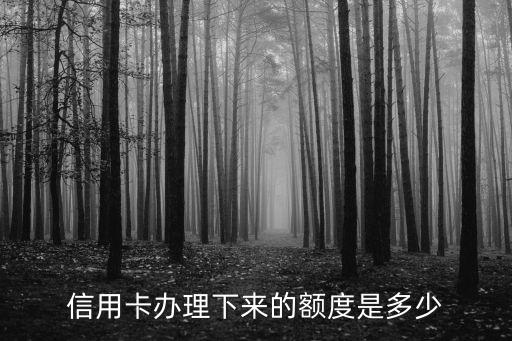 信用卡办理下来的额度是多少