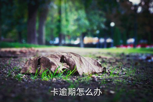 卡逾期怎么办