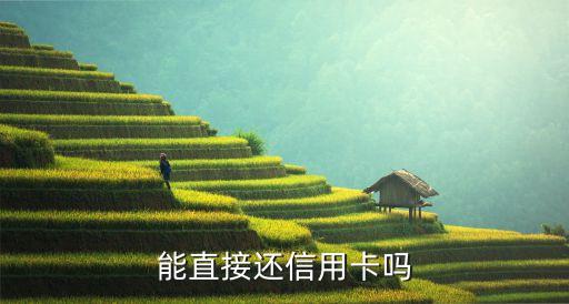 能直接还信用卡吗