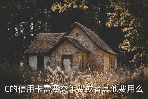C的信用卡需要交年费或者其他费用么