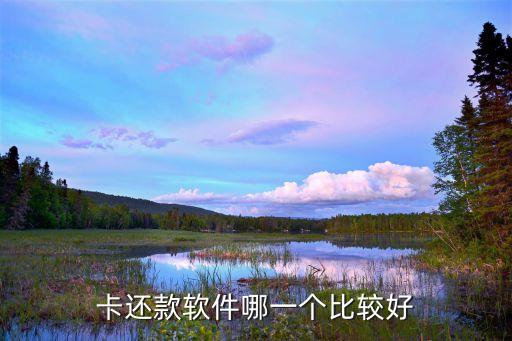 卡还款软件哪一个比较好