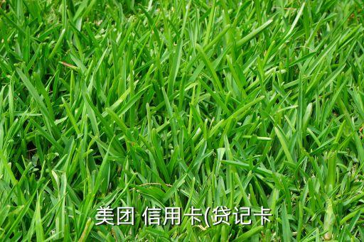  美团 信用卡(贷记卡
