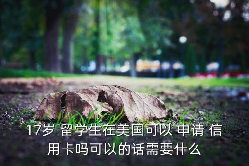 17岁 留学生在美国可以 申请 信用卡吗可以的话需要什么