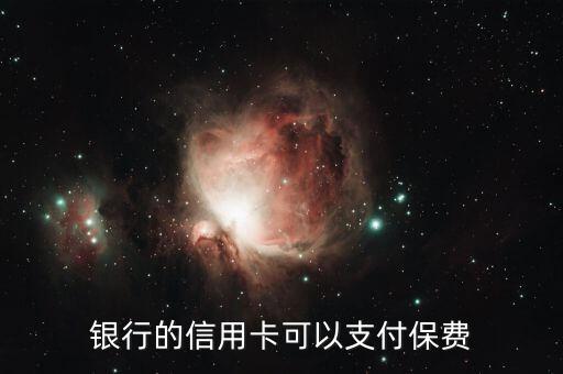 银行的信用卡可以支付保费