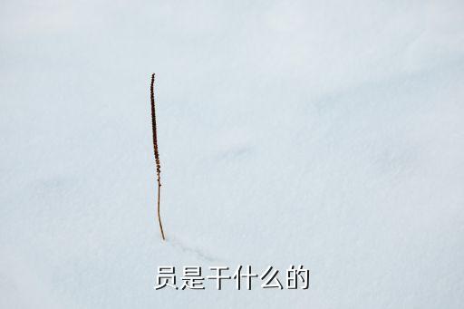 员是干什么的