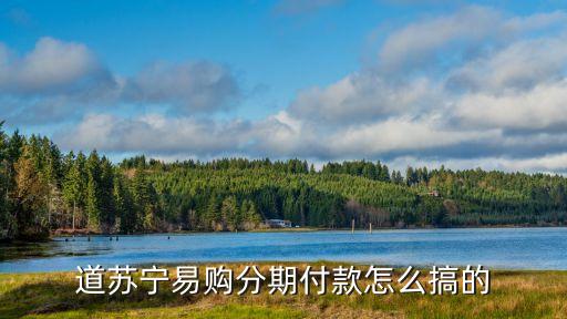 道苏宁易购分期付款怎么搞的