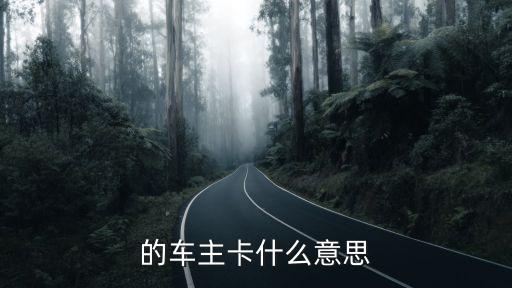 的车主卡什么意思