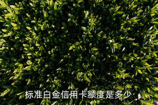 标准白金信用卡额度是多少