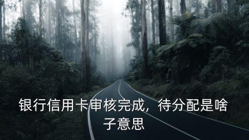 银行信用卡审核完成,  待分配是啥子意思