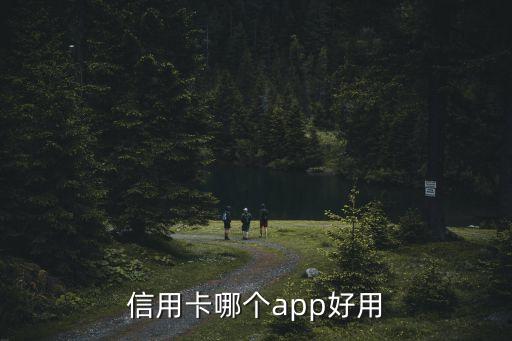 信用卡哪个app好用