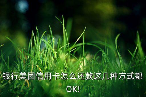 银行美团信用卡怎么还款这几种方式都OK!