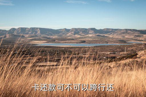 网银跨行转账信用卡还款吗,超级网银跨行转账信用卡还款