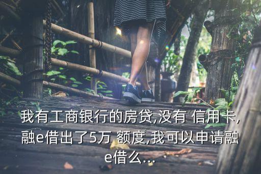 我有工商银行的房贷,没有 信用卡,融e借出了5万 额度,我可以申请融e借么...
