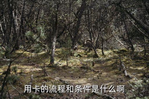 用卡的流程和条件是什么啊