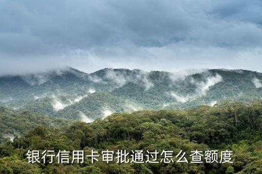 银行信用卡审批通过怎么查额度