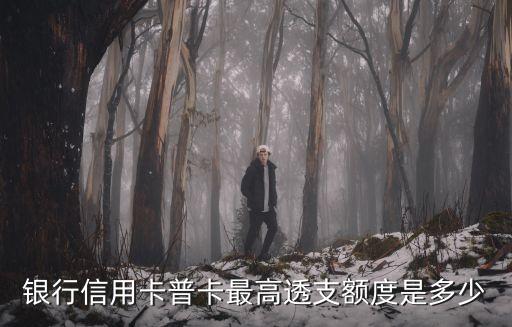 银行信用卡普卡最高透支额度是多少
