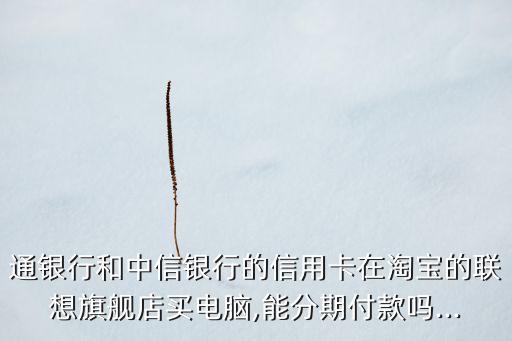 通银行和中信银行的信用卡在淘宝的联想旗舰店买电脑,能分期付款吗...