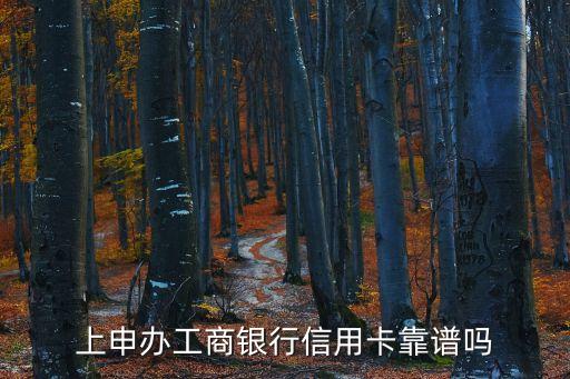 网上申请信用卡安全么,网上申请信用卡安全吗