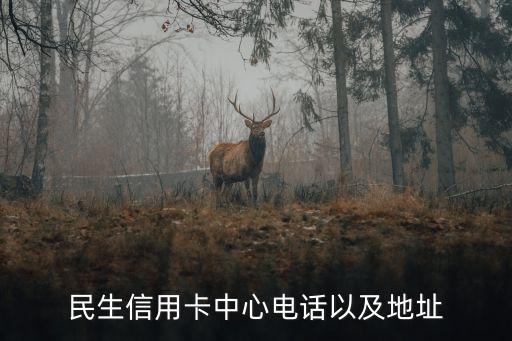 民生信用卡中心电话以及地址