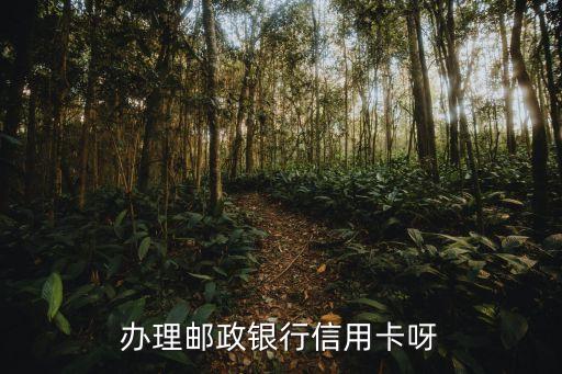 办理邮政银行信用卡呀