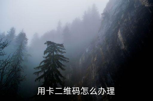 信用卡付款码申请,如何申请信用卡支付码