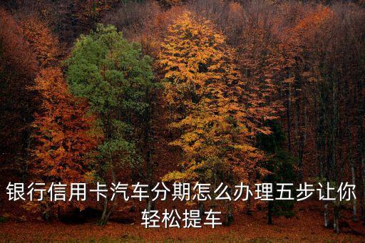 银行信用卡汽车分期怎么办理五步让你轻松提车