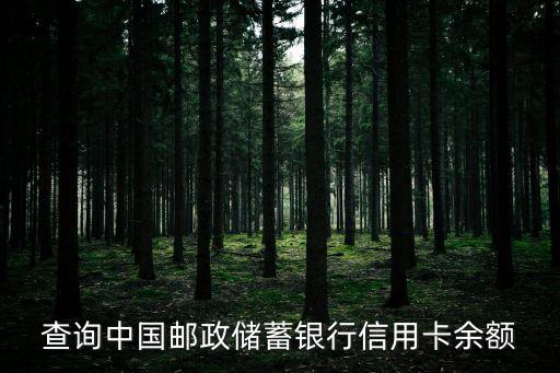 邮局信用卡额度怎么查询,如何查询信用卡使用额度
