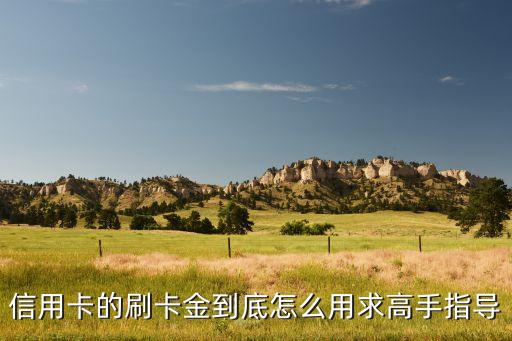 信用卡的刷卡金到底怎么用求高手指导