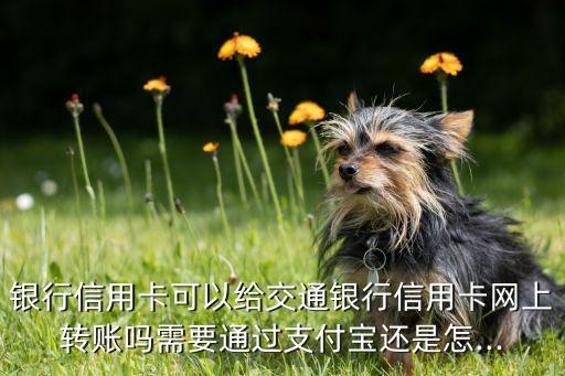 转账给交通银行信用卡,交通银行信用卡转银行卡