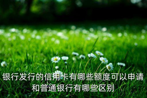 湖南花旗银行信用卡,花旗银行的信用卡好批吗
