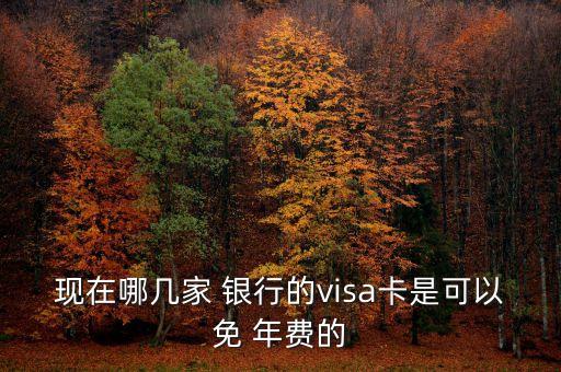 现在哪几家 银行的visa卡是可以免 年费的