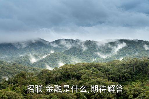  招联 金融是什么,期待解答