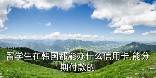留学生在韩国都能办什么信用卡,能分期付款的