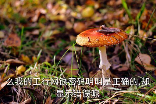 么我的工行网银密码明明是正确的,却显示错误呢