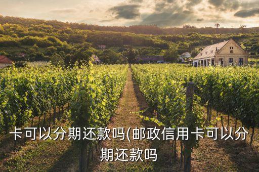 卡可以分期还款吗(邮政信用卡可以分期还款吗