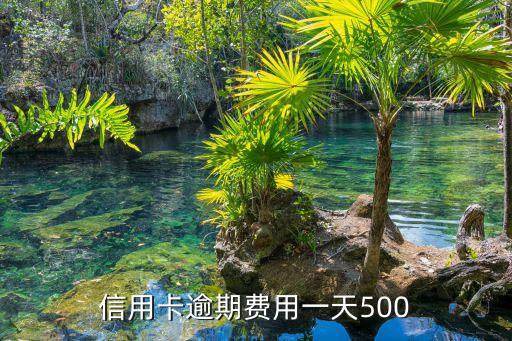 信用卡逾期费用一天500