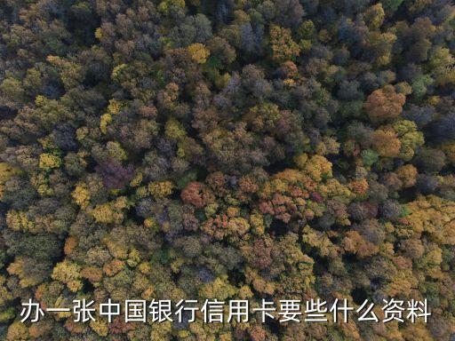 办一张中国银行信用卡要些什么资料