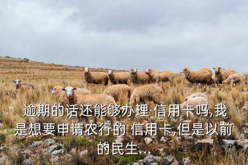  逾期的话还能够办理 信用卡吗,我是想要申请农行的 信用卡,但是以前的民生...