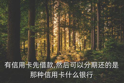 有信用卡先借款,然后可以分期还的是那种信用卡什么银行