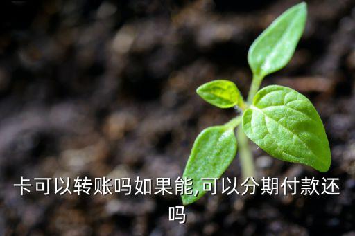 转转支持信用卡不分期吗,信用卡现金转出可以分期还款吗