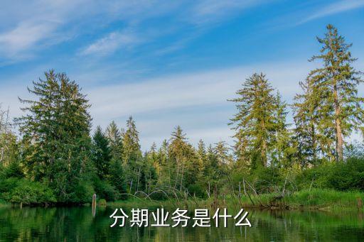 分期业务是什么