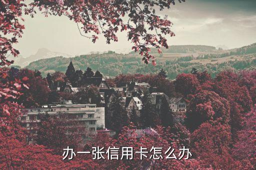 办一张信用卡怎么办