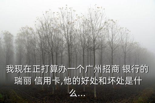 我现在正打算办一个广州招商 银行的 瑞丽 信用卡,他的好处和坏处是什么...