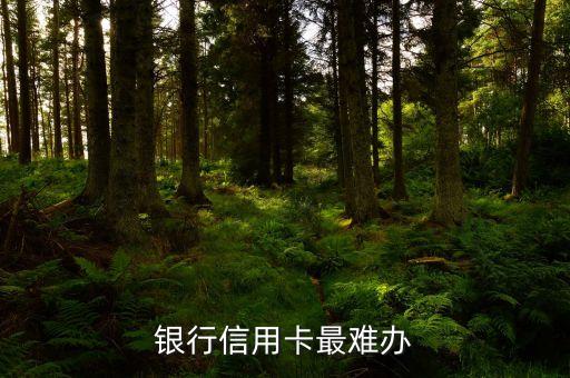 银行信用卡最难办