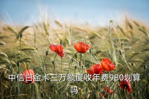 中信白金卡三万额度收年费980划算吗