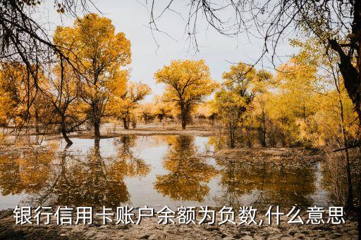 建行信用卡额度是负数吗,银行卡信用额度建立