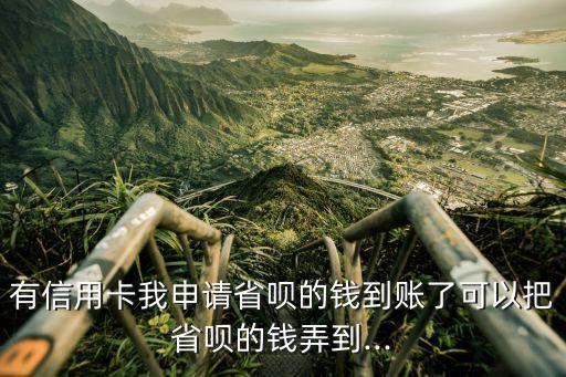 有信用卡我申请省呗的钱到账了可以把省呗的钱弄到...