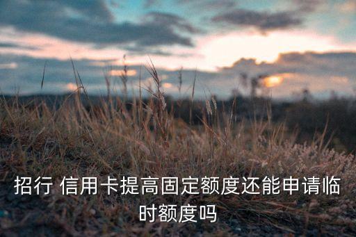 招行 信用卡提高固定额度还能申请临时额度吗